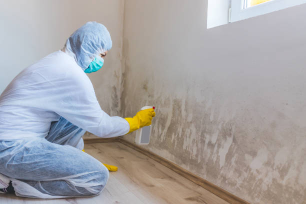 Mold inspector in Stone Mountain performing thermal imaging